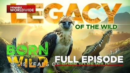 Legacy of the Wild - 18th Anniversary Special (Part 1) | Born To Be Wild