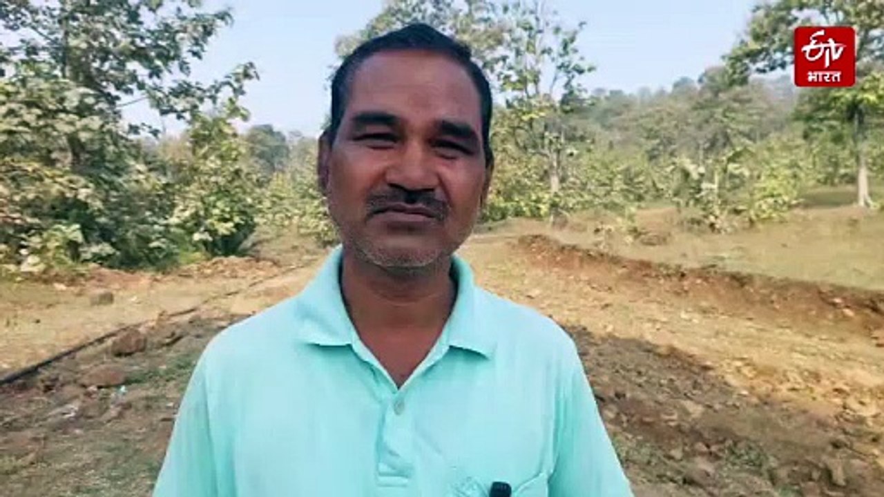 छिंदवाड़ा में सोने से भी महंगा सीमेंट! 1 लाख 92 हजार रुपए में किसने खरीदा एक बोरी सीमेंट