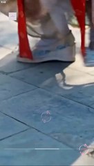 Slaying As the Chubby Consort Chinese Drama - English Sub