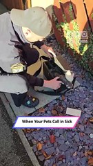 Ferrets Refuse to Work! Mischievous Escape Attempt Caught on Camera|| Heartsome 💖