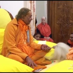 VID-20251120-WA0041
