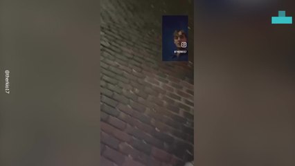 Unexpected Street Proposal Melts Hearts Online