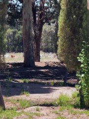 La señal inesperada que sorprendió e hizo llorar a Darío Barassi. Miralo.