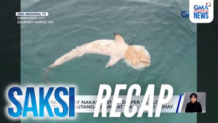 Saksi: (Part 3) Pating na may nakabalot na diaper sa ulo; Mensahe ni Jillian Ward kay Eman Pacquiao; Aspin na inanod ng baha, reunited sa fur parent nito