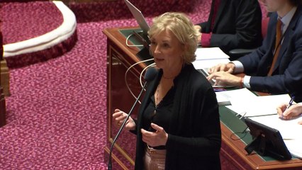 Budget de la Sécu : le Sénat gèle le barème de la CSG