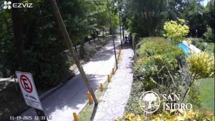 Video: así escapaban los cinco delincuentes que entraron a robar a la casa de Valeria Mazza