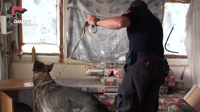 Gela (CL) - Rider della droga e codice delle pecore : cinque arresti nell'operazione White Sheep (20.11.25)