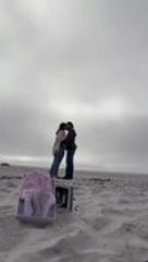 Seagull Steals Baby Clothes