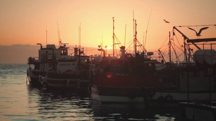 Trasporto marittimo, dalle ONG appello per accelerare la transizione verde