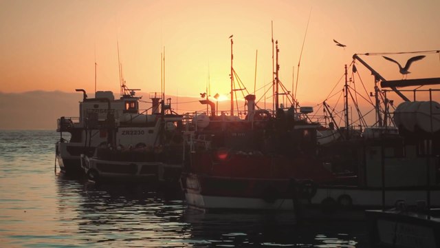 Trasporto marittimo, dalle ONG appello per accelerare la transizione verde