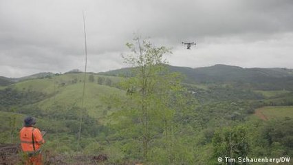 How drones could help reforest the world's green lungs