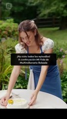 Mi Vida de Multimillonario Robada en Español