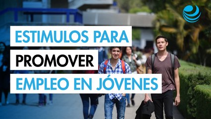 Proponen en Senado estímulos fiscales de hasta 60% para promover el primer empleo
