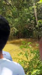 Corpo de homem é encontrado em riacho em União dos Palmares