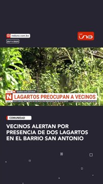 Vecinos alertan por presencia de dos lagartos en el barrio San Antonio