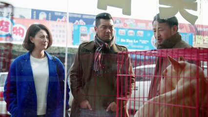 HOA KHÔI VÀ CẢNH KHUYỂN - Tập 38 (Lồng Tiếng) | Phim Hành Động Cảnh Sát Hình Sự Hay Nhất