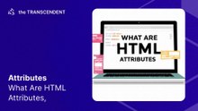 What Are HTML Attributes-English, #13 #theTRANSCENDENT #tTʇ