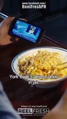 Sweetheart I Don't Lose Twice Chinese Drama - English Sub