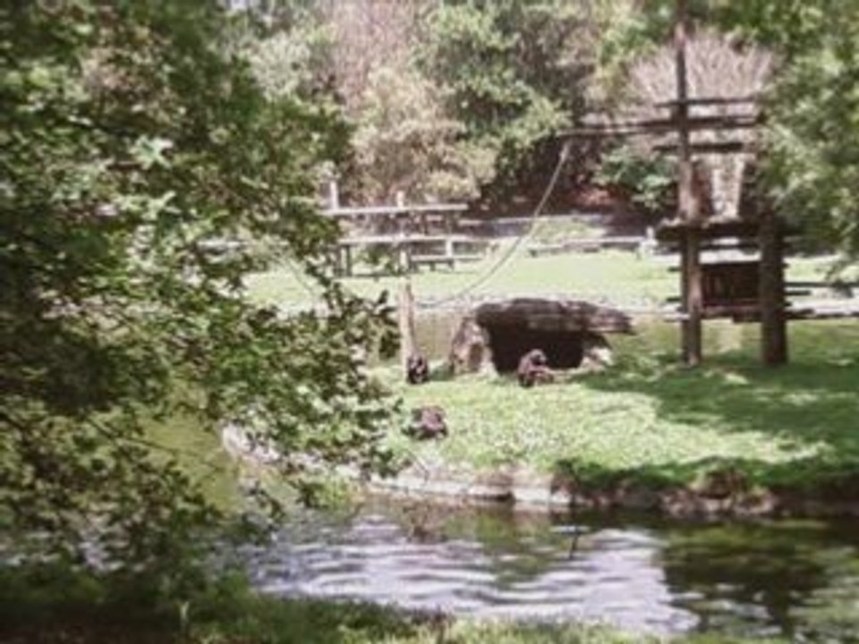 Zoo palmyre