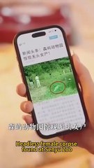 The Fake Daughter Who Understood The Animal Language Solved The Case... - English Sub