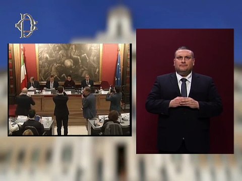 Roma - Audizione - Commissario europeo per la democrazia, la giustizia, lo stato di diritto e la tutela dei consumatori, Michael McGrath (20.11.25)