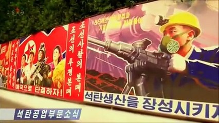 Notícias do setor carbonífero