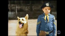 Rin Tin Tin em Português - EP08 - RIN TIN TIN E A LEI