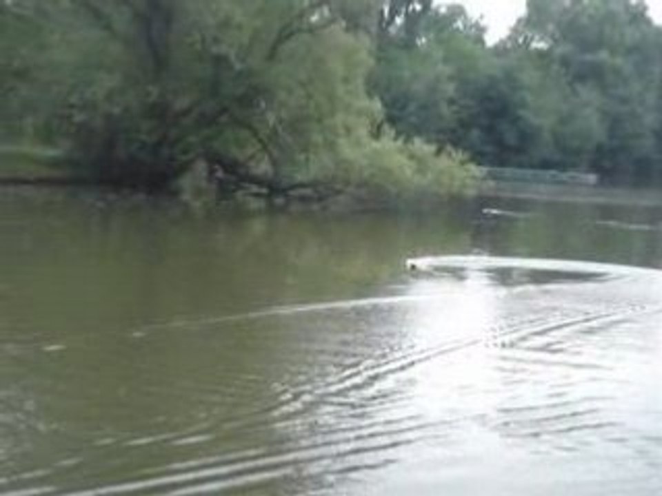 Poulpito evo 1er run