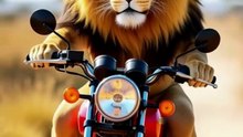 lion bike 2