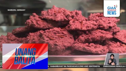 Mealworms, tipaklong, at kuliglig, isinasahog sa iba't ibang dish sa isang cafe | Unang Balita