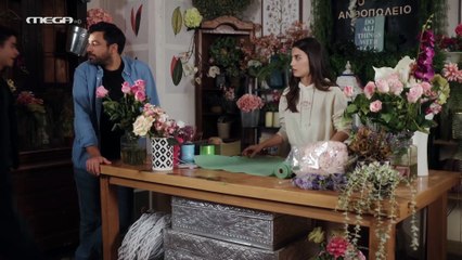 Η Γη της Ελιάς 5ος Κύκλος - Επεισόδιο 48