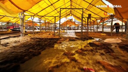 Bayramın bitmesine sayılı saatler kala, kurbanlıklar alıcılarını beklemeye devam ediyor