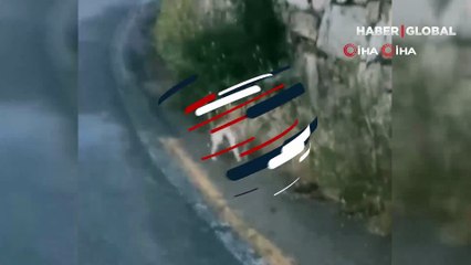 Yılanın kaçış çabası sonuç vermedi, kediye teslim oldu