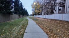 Edmonton, Canada Neighbourhood Walking Tour 2025 | Explore Local Streets in 4K 🚶‍♂️