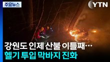 강원도 인제 산불 이틀째...헬기 투입 막바지 진화 중 / YTN