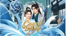 Caged Beauty Chinese Drama - English Sub