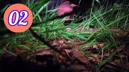 The Creep Tapes Season 2 Episode 2 Engsub