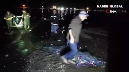 Van’da inci kefali operasyonu