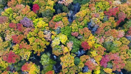 The Nature of Things with David Suzuki S65E04 Frozen in Time
