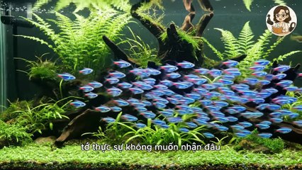 [Truyện Audio - Full] BỊ ĐUỔI HỌC, TÔI LIỀN SANG TRƯỜNG ĐỐI THỦ LÀM HỌC BÁ