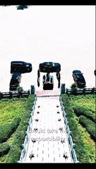 Miraculous Baby Ancestor The Succession War Chinese Drama - English Sub