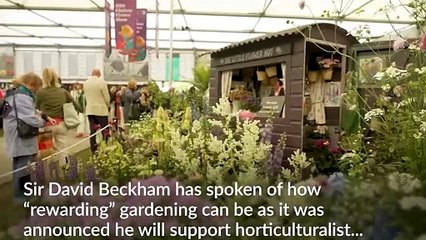 David Beckham to help create King’s Foundation garden at RHS Chelsea Flower Show