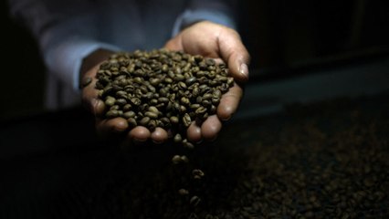 Trump elimina el 40% de arancel adicional impuesto a ciertos productos brasileños