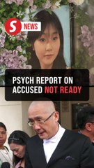Bandar Utama school murder: Psych report on accused not ready, case put off to Dec 19