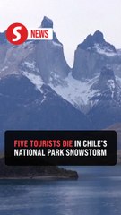 Chile launches investigation after five tourists die in national park snowstorm