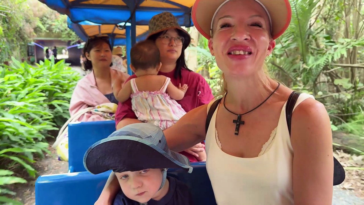 Currumbin Wildlife Sanctuary (Gold Coast): Family Day Out with Koalas, Train & Animal Hospital VLOG