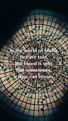 The Rise of Mr. & Mrs. Mafia Dramabox