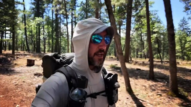 6 Terrifying Forest Encounters Captured on Camera