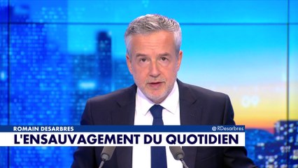 Le billet d'humeur de Romain Desarbres : «L'ensauvagement du quotidien»