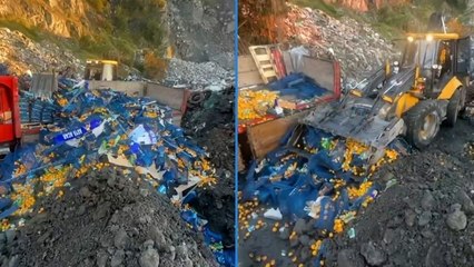 Bakanlık açıkladı: 6 bin 100 kilo mandalina zirai ilaç nedeniyle imha edildi